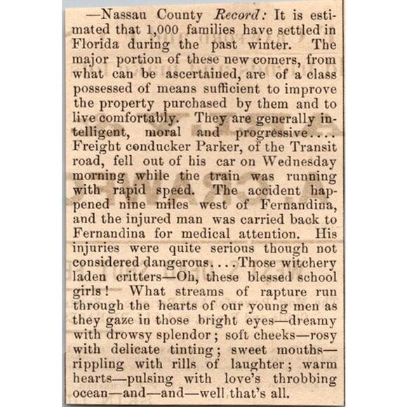 Nassau County Record 1000 Families Settled In FL 1885 Florida Clipping SAJ2-H5 - Picture 1 of 2